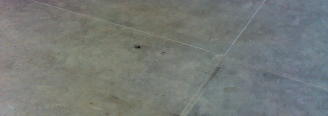 IMG00256 IMG00256