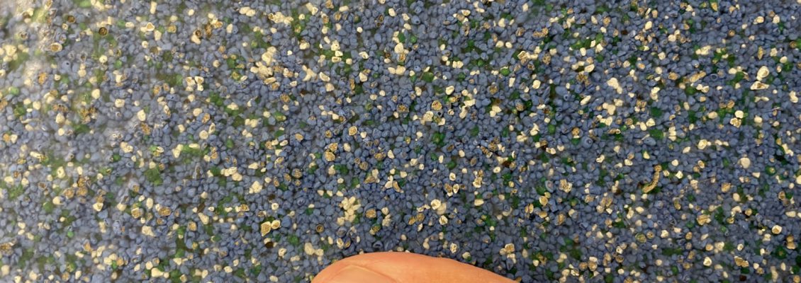 Химстойкий пол для пищёвки. 140 м2. 7 дней